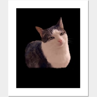 Sarcastic cat rolling eyes meme Posters and Art